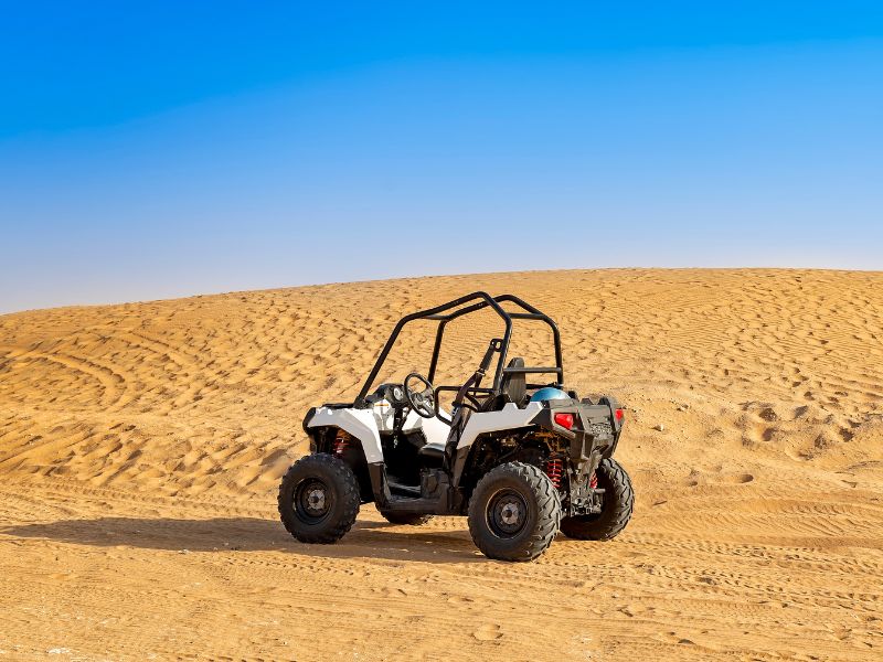 desert safari